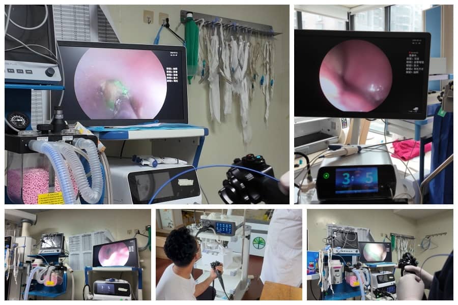 veterinary endoscopy