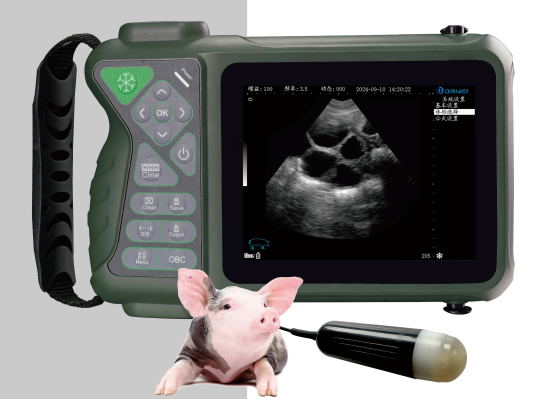 pig ultrasound machine
