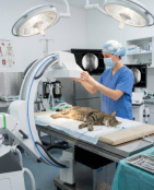 veterinary mobile C-arm