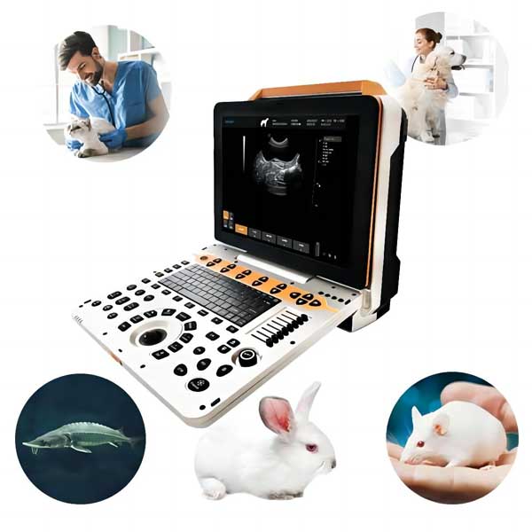 equipo de escáner de ultrasonido veterinario