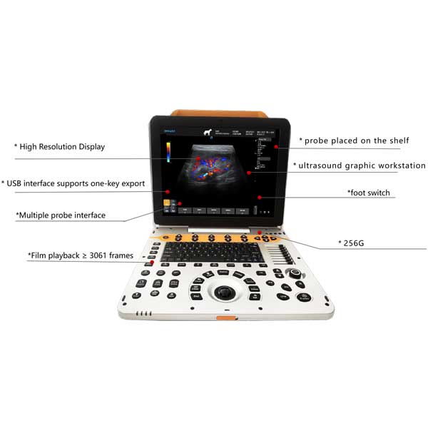 vet ultrasound machine portable