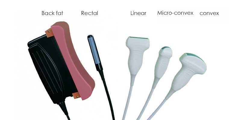 Animal ultrasound probes