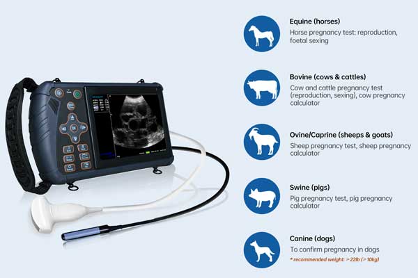 Appareil portatif à ultrasons
