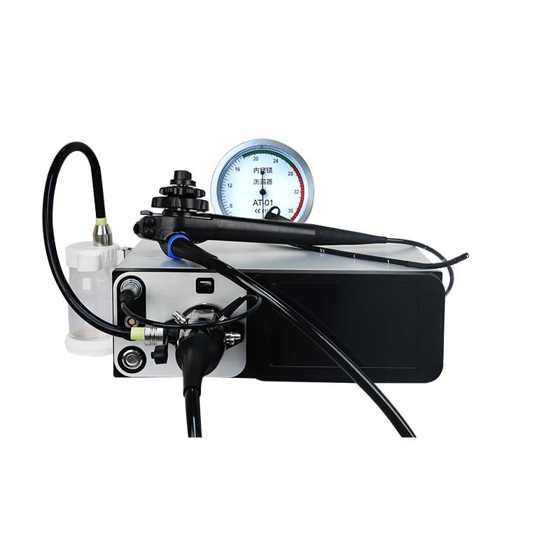 veterinary endoscopy system