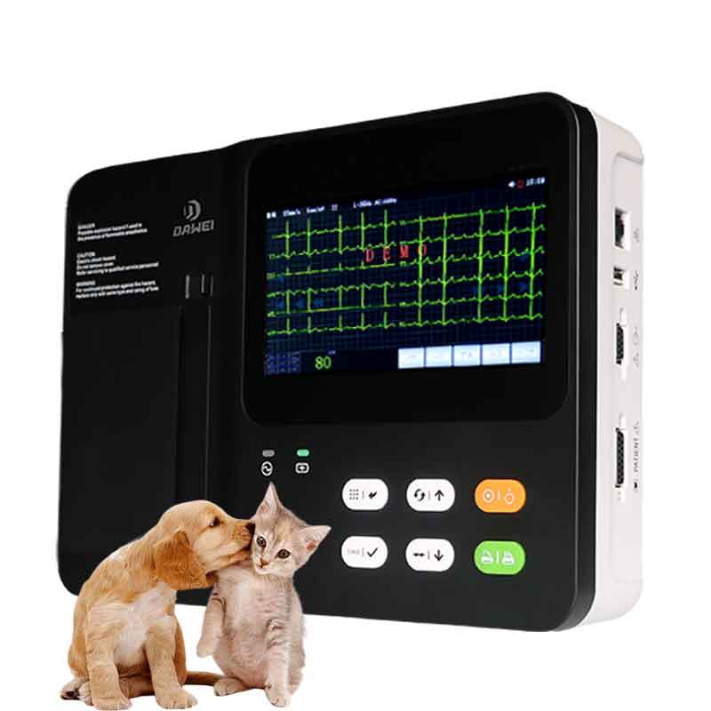 electrocardiograma veterinario