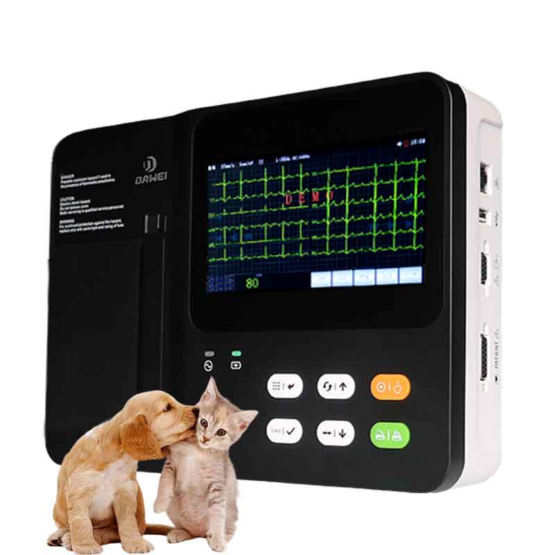 électrocardiogramme vétérinaire