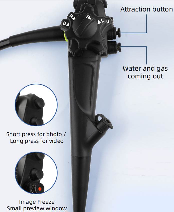 veterinary endoscopy system