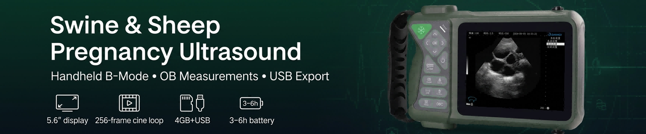 Ultrasound for Sheep