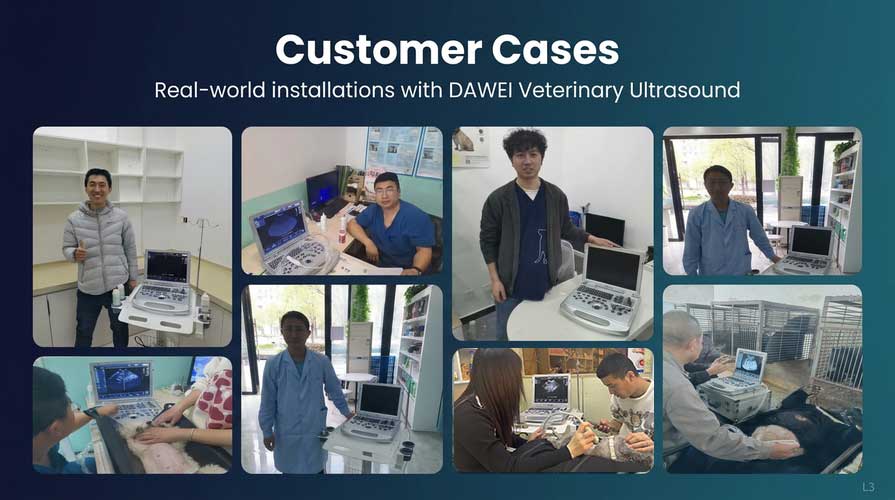 Taşınabilir Sürüngen Ultrason Cihazı