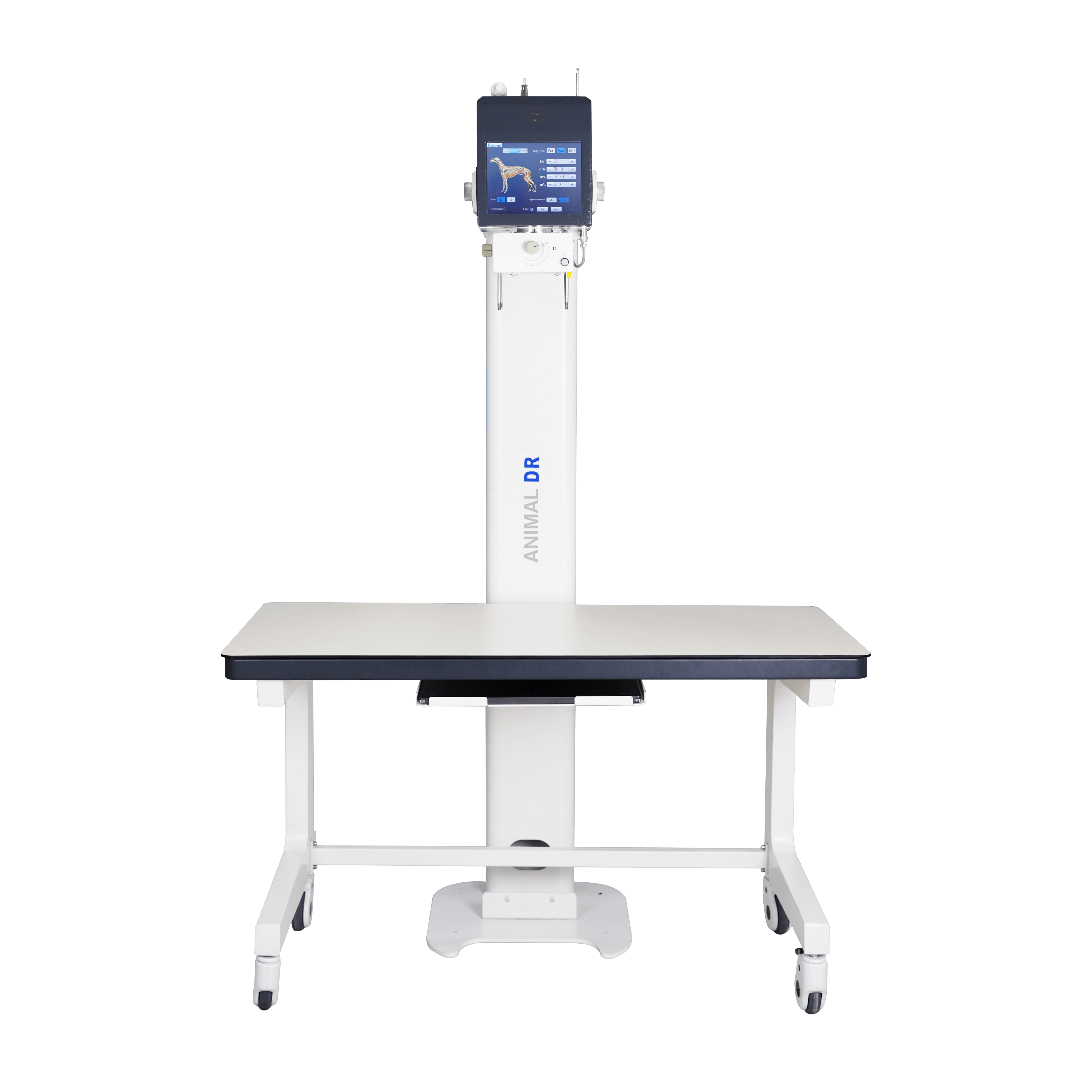 radiografia digitale