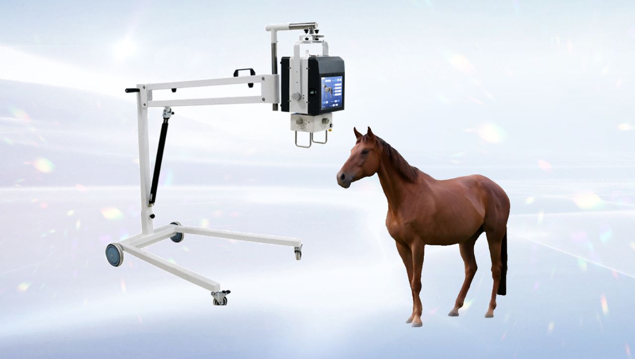 animal portable digital x ray