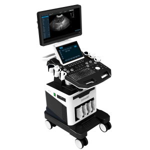 Sistema ad ultrasuoni color doppler veterinario per carrello di fascia alta