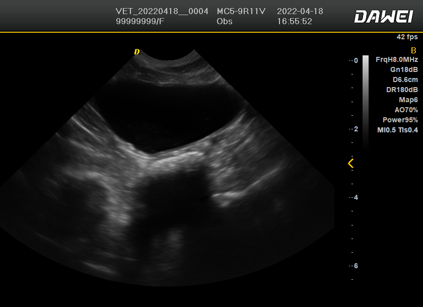 Ultrasound machine image