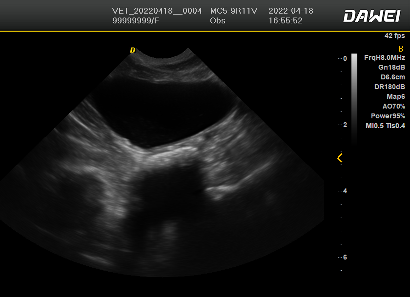 超声机图像