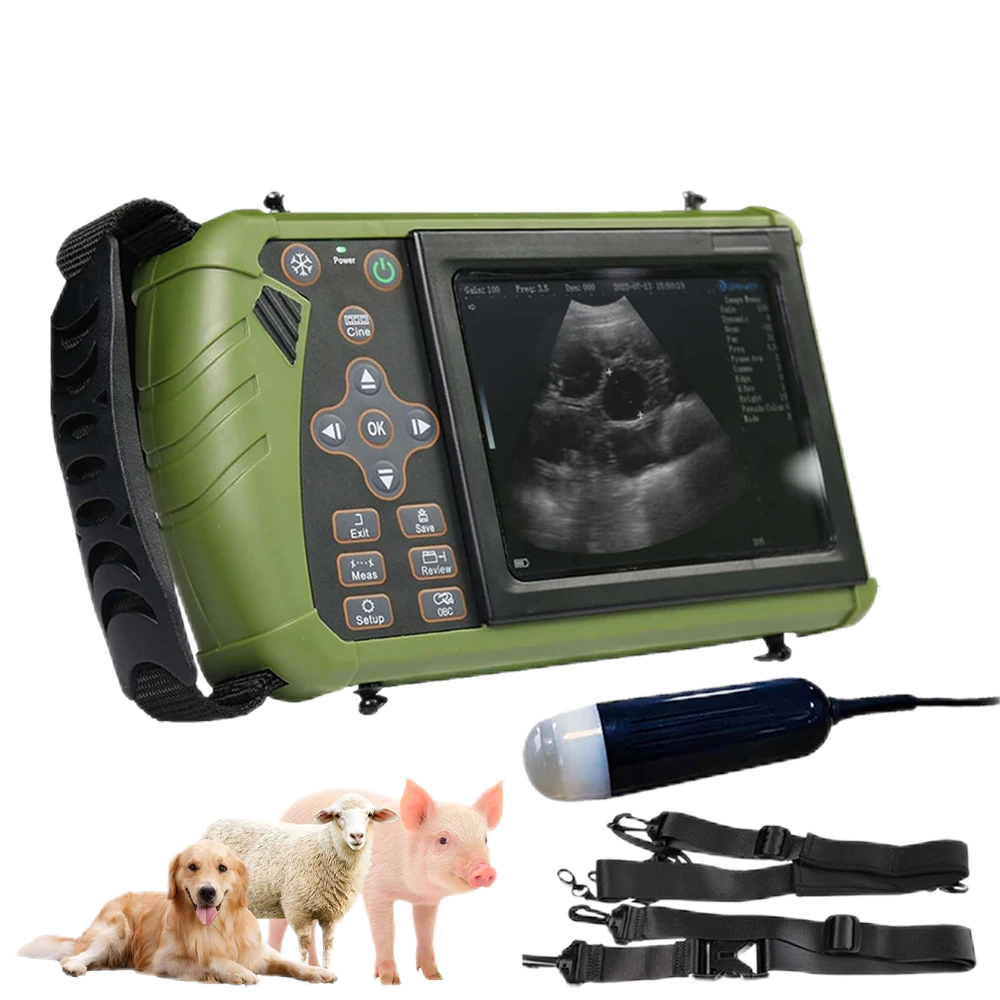 sheep ultrasound machine