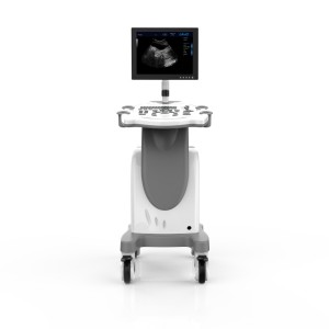 Carrello con piattaforma per PC High Elements Sistema diagnostico a ultrasuoni veterinario digitale completo
