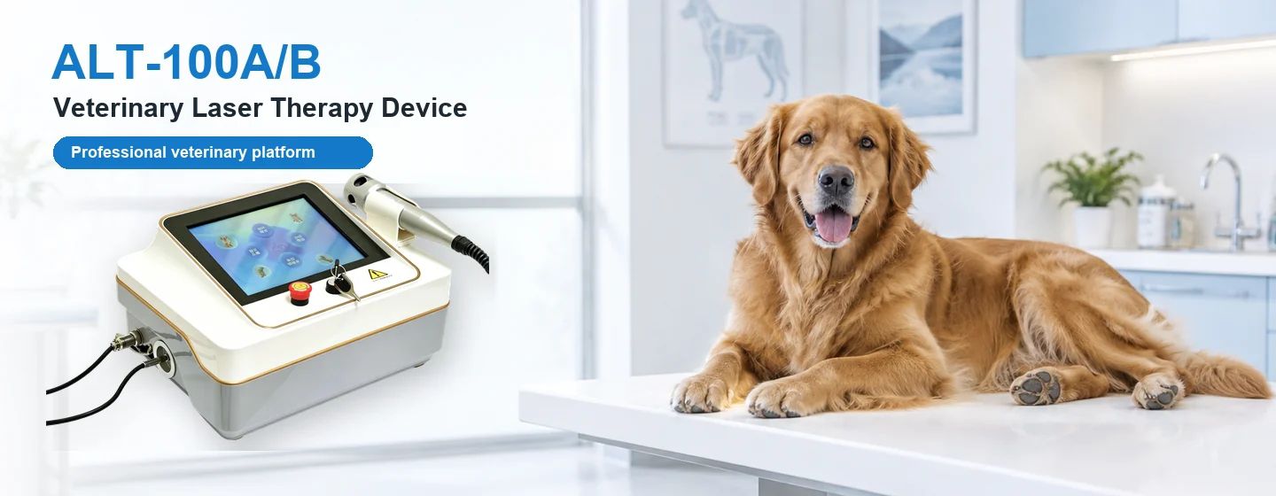 Veterinary Laser Therapy Device