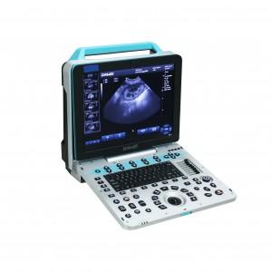 Pangajaran sarta Palatihan Atikan Ultrasound System P5-VET