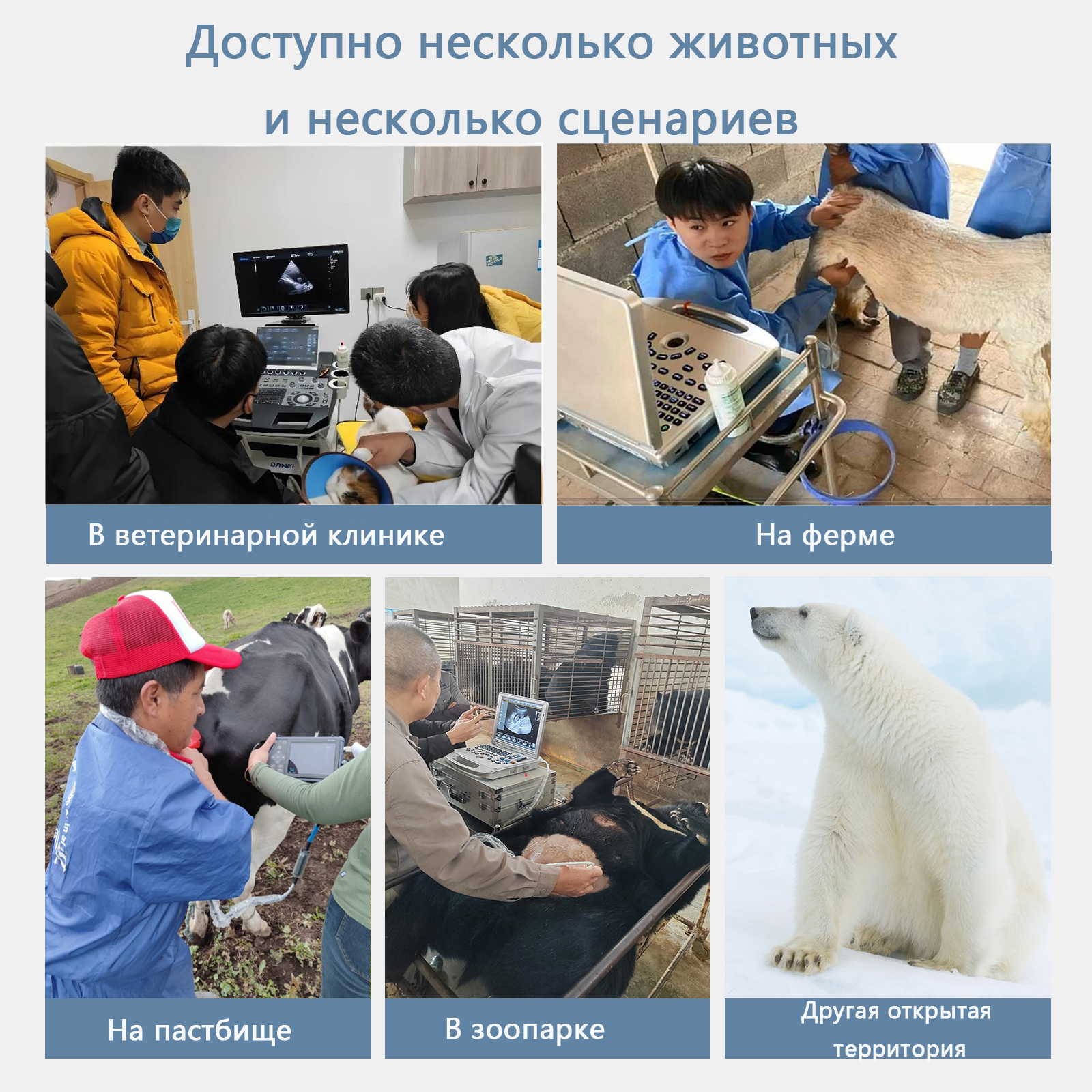 6.Узи аппараты для ветеринарных
   Ветеринарные УЗИ