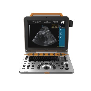 Sistema de diagnóstico por ultrasonido Doppler P60 THI TDI para clínica de mascotas