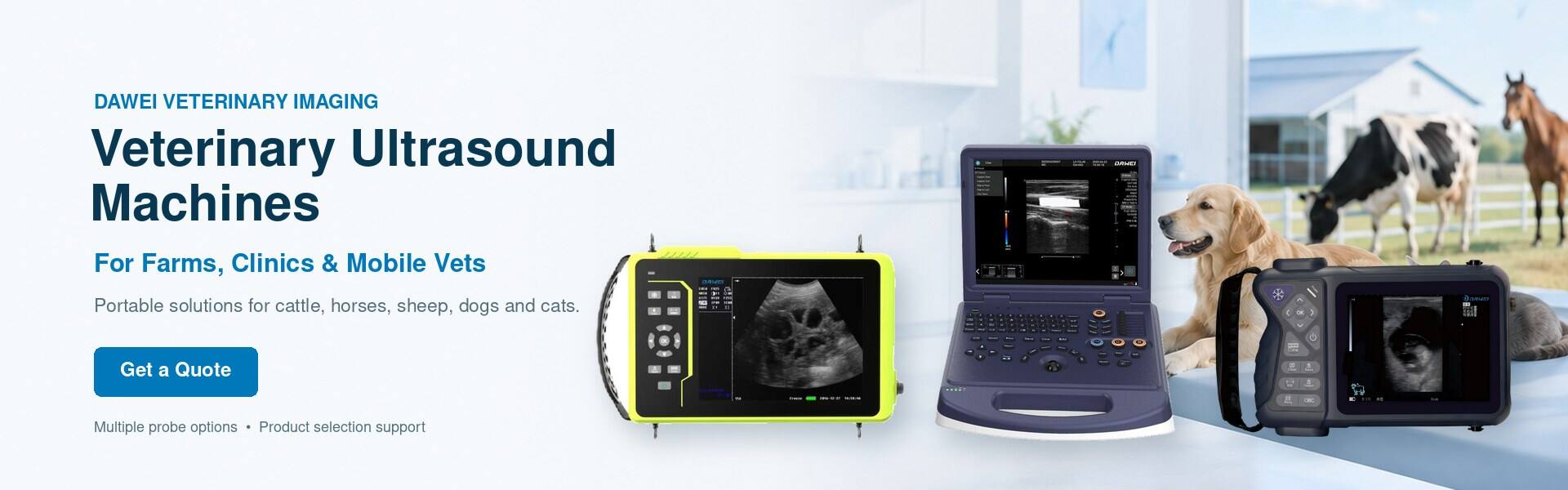 ultrasound for animal