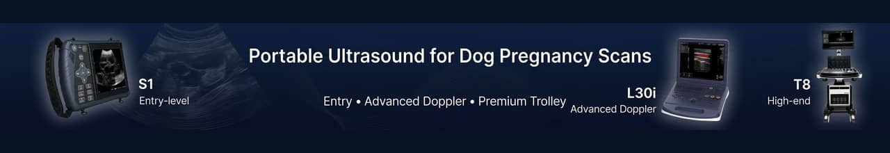 dog pregnancy ultrasound