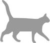 Felino