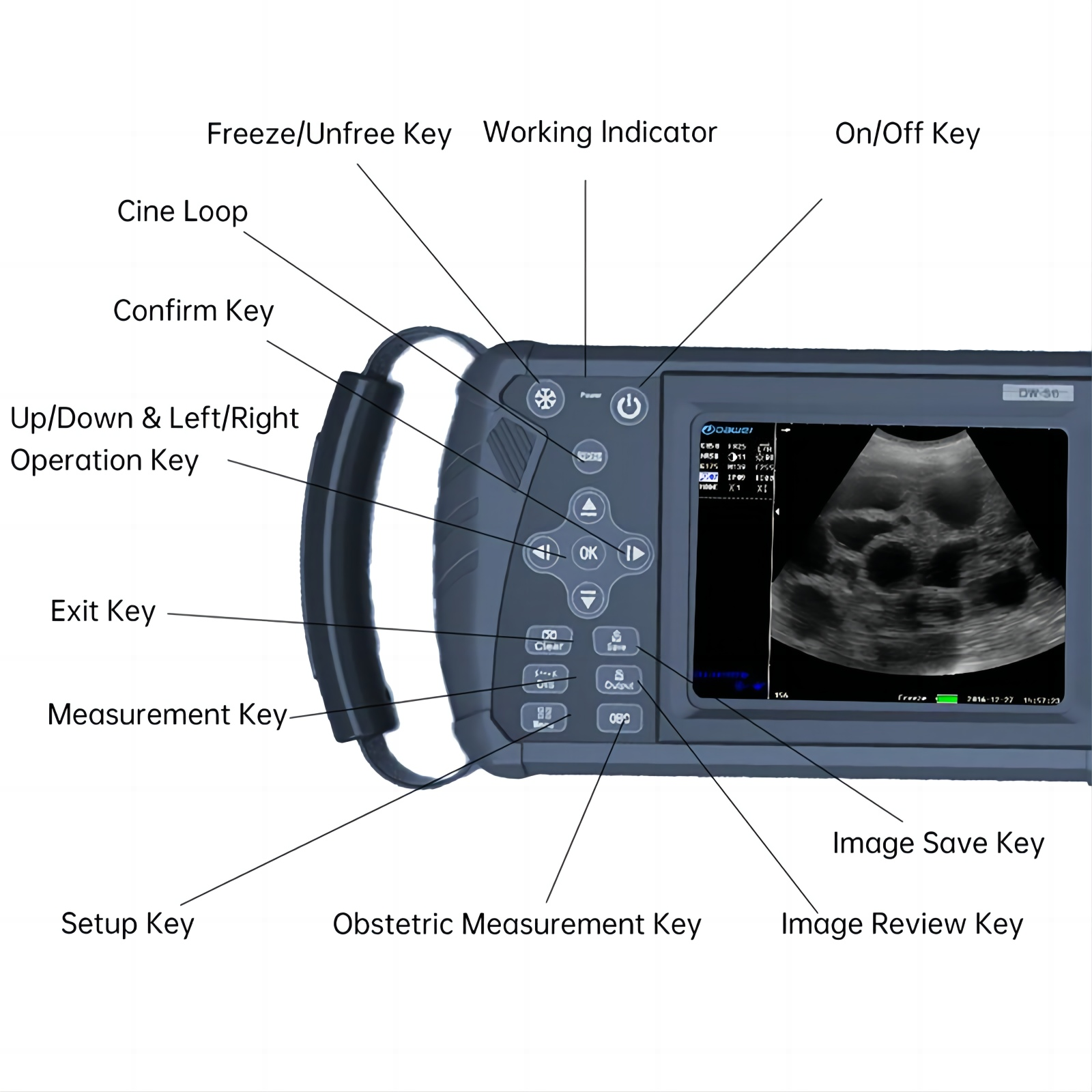 Handheld-Veterinärultraschall