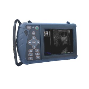 Sistema ad ultrasuoni veterinario completamente digitale professionale Palm