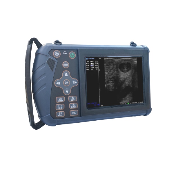 Imagem em destaque do sistema ultrassônico veterinário totalmente digital Palm profissional