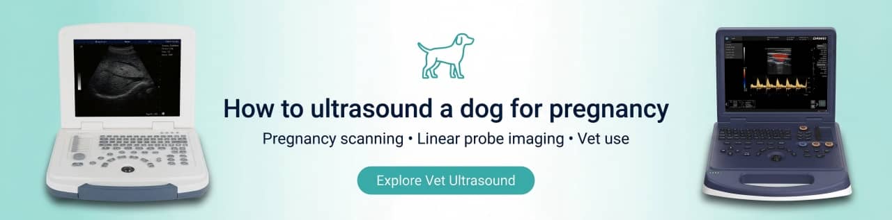 máquina de ultrasonido para perros