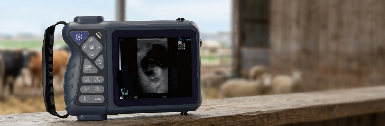 https://www.dwvet.com/livestock-ultrasound-machine-product
