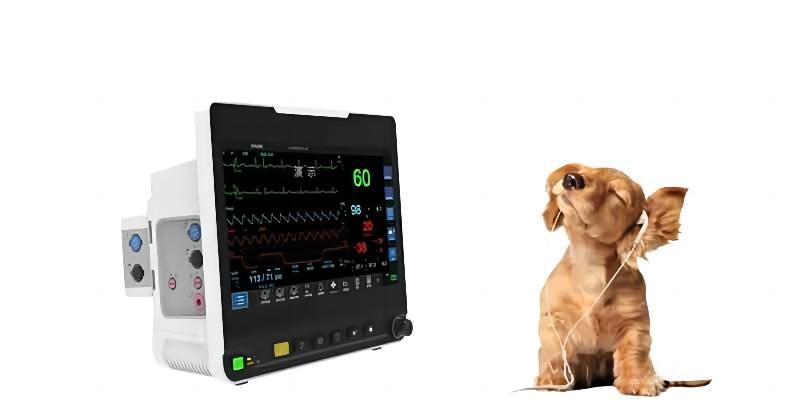 Monitor veterinário de sinais vitais