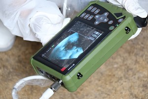 Système de diagnostic à ultrasons vétérinaire portable S0