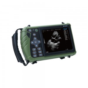 Professional Palm Full-Digital Veterinary Ultrasonic System