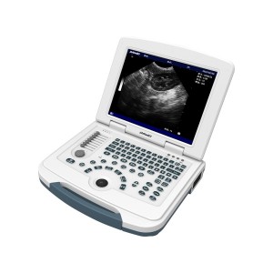 Sistema de ultrassom veterinário digital completo para notebook básico