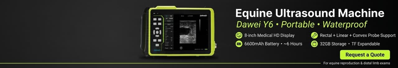 equine ultrasound Y6